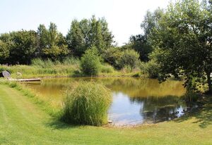 Fewo mit Park – Appartement/Fewo