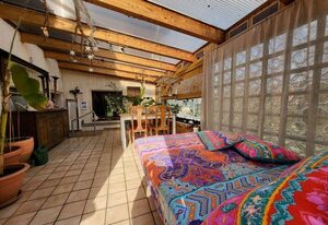 Eldorstal 1 - Ferienwohnung in Bad Harzburg mit Hund - direkt am Nationalpark - 1000 qm Garten