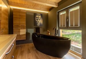 Panorama-Chalet im Harz