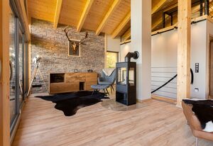 Panorama-Chalet im Harz