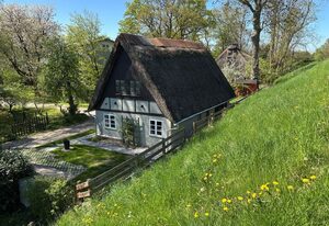 Historische Reetdachkate am Elbdeich