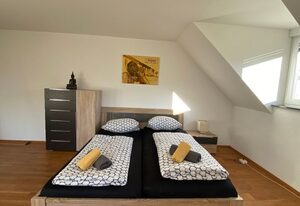 Villa 5 SZ Haus mit WI-FI u Terrasse zw. Freiburg u Frankrei – Haus mit 5 SZ