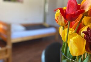 Villa 5 SZ Haus mit WI-FI u Terrasse zw. Freiburg u Frankrei – Haus mit 5 SZ