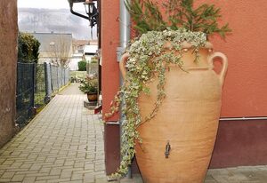 Ferienhaus Oliv