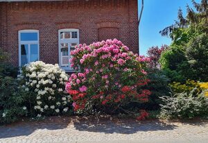 Ferienwohnung Annegret Schuback