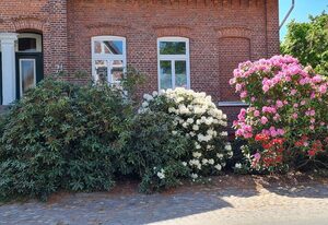 Ferienwohnung Annegret Schuback