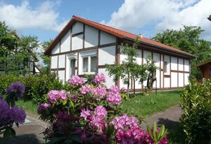 Ferienhaus Kogge im Feriendorf Altes Land – Ferienhaus 317 Kogge 60qm bis 6 Personen mit Haustier