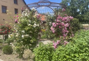 Ferienwohnungen "Dammühle" – Dammühle Thale- Ferienwohnung 5