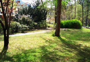 Ferienwohnung Am Bodetal - Herr Rüge – Fewo, Bad, WC, Balkon