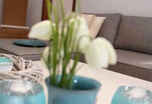 Ferienwohnung Harz-Relax E-I-4-7