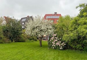 178 Ferienwohnung Krabbe – 178 Ferienwohnung im ersten Stock - Krabbe