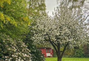 178 Ferienwohnung Krabbe – 178 Ferienwohnung im ersten Stock - Krabbe