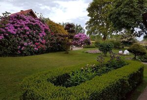 Landhaus Westerloy – FeWo Rhodoblüte