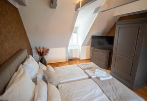 Ferienhaus Schlossberg mit Infrarot-Kabine und Stellplatz