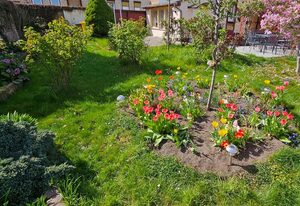Ferienhaus Rosengarten