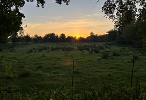 Meedehof Moorhausen, WH Ziegenstall – Ferienwohnung Ziegenstall
