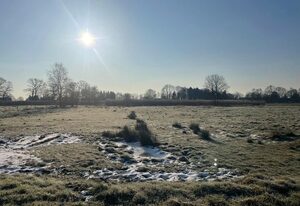 Meedehof Moorhausen, WH Kuhstall – Ferienwohnung Kuhstall