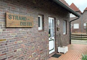 Stranddistel