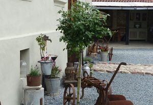 Ferienhaus Gänsetrappe