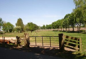 Ferien auf dem Lande - Hagedorn´s Ferienhof 35143 – Ferienwohnung Pferdestall 35145