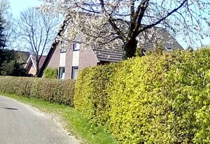 Ferienwohnung TEESTUUV, 55166