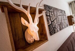 Ferienwohnung Harz-Feeling F-I-2-8