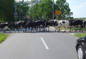 Ferienhof van Vlyten, 45006 – Ferienwohnung 1 van Vlyten