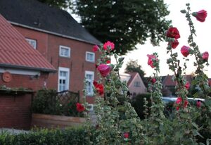 Ferienhof van Vlyten, 45006 – Ferienwohnung 1 van Vlyten