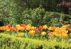 Traberhof – Zum großen Obstgarten (Wohnung Nr. 2)