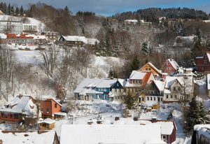 Haushimmelblau