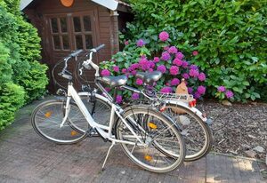 Ferienhaus Ditzum