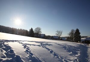 Fewo Lerbachtal – Fewo Lerbachtal L3 2-6 Personen
