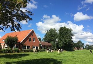 Ostfriesland Ferien Villa - 24 Personen - Sauna, Whirlpool , Kino, und Bar