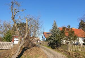 Blaues Haus-Urlaub mit Alpakas oder nur eine schöne Unterkunft in der schaalseergion