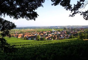 Amelie N°3 Schweigen-Rechtenbach – Studio