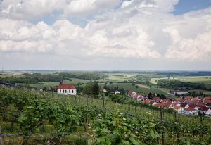 Ferienwohnung Gaby - im Weingut Doll