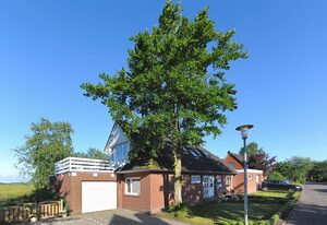 Friesenhuus Bensersiel Erdgeschoss – Ferienwohnung 1