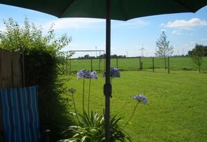 Mittag, Anke "Ferienhof Mittag" – Ferienwohnung Rapsblüte - 35257