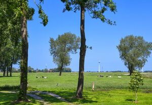 Ferienhof Ennenhof in Buttforde bei Werdum – Ferienwohnung Schwalbennest
