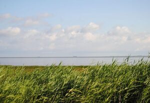 Annemaries Ferienwohnungen – Annemaries Ferienwohnungen GROSS