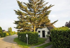 Ferienhaus Heußner 22