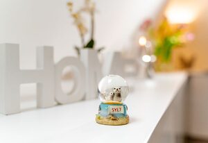 App. Möwe 5