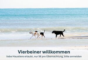Haus Katamaran -Typ 2 mit Sauna - Nordseebad Burhave – Katamaran-Typ2 #W30a