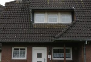 Ferienhaus 1260 in Tossens