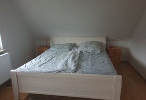 Ferienhaus 3119 in Tossens