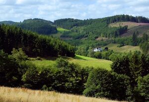 Landgasthof Rüppel – Doppelzimmer