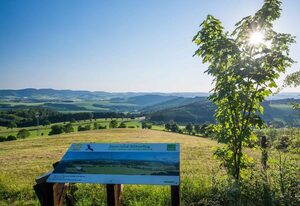 Ferienhaus Weitblick