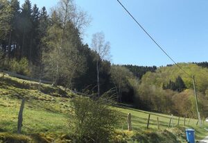 Ferienhaus Elpe – Im Ries 1+2+3