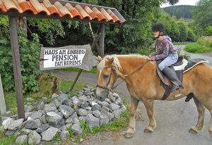 Pension Haus am Einberg – Doppelzimmer Standard