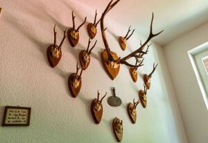 Gut Ahe Landgasthof | Café | Event – Ferienwohnung, 80qm, max. 6 Personen